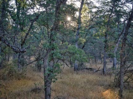 Bell Rd, Auburn, CA 95603 Photo