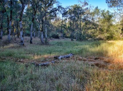 Bell Rd, Auburn, CA 95603 Photo