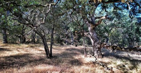 Bell Rd, Auburn, CA 95603 Photo