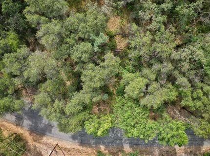 Richards Ln, Auburn, CA 95603 Photo