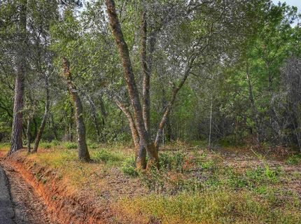 Richards Ln, Auburn, CA 95603 Photo