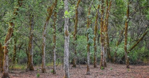 Richards Ln, Auburn, CA 95603 Photo