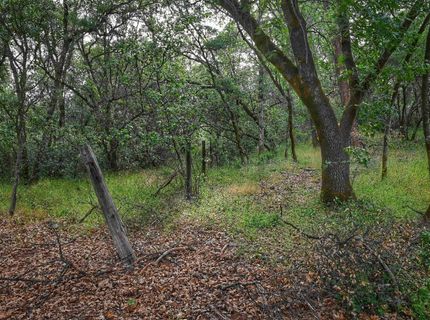 Richards Ln, Auburn, CA 95603 Photo