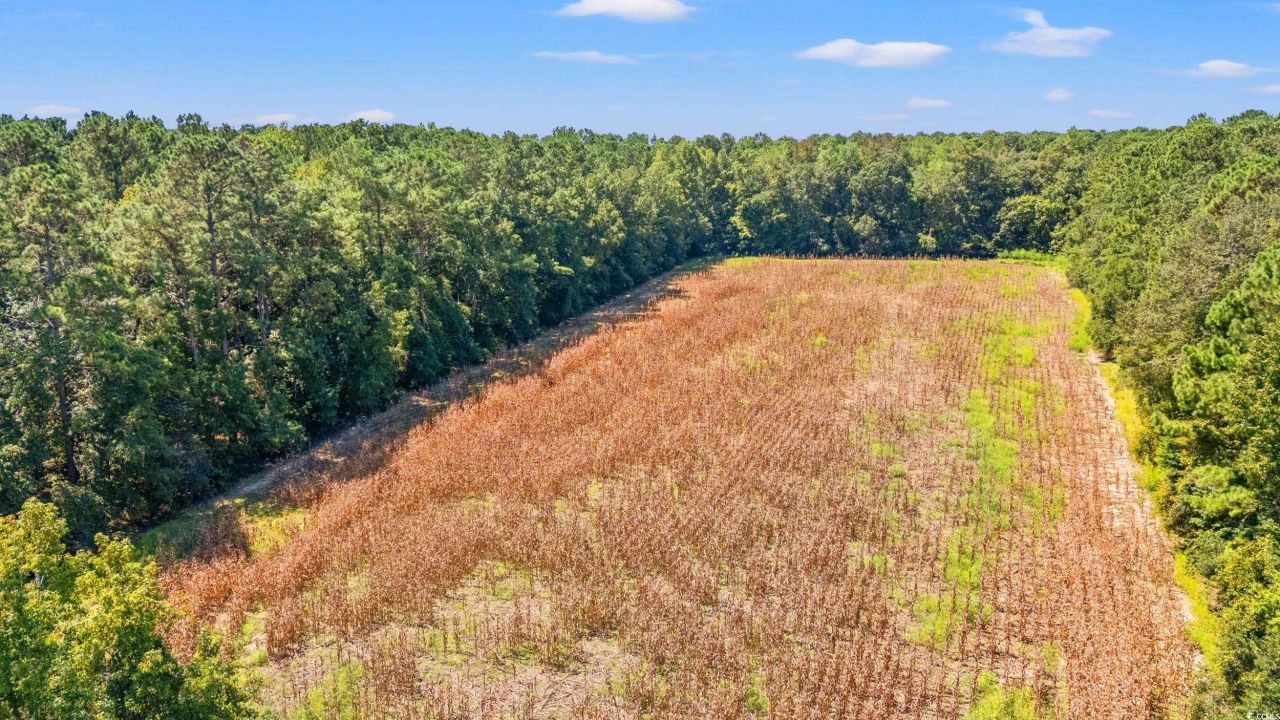 Tbd Myrtle West Dr. Photo 12