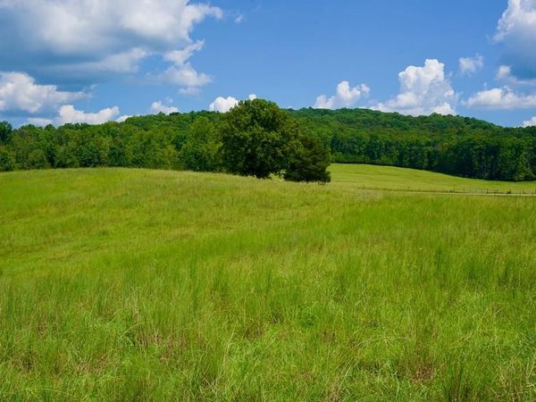 Tract 2 West Of Barlow Rd, Rock Island, TN 38581