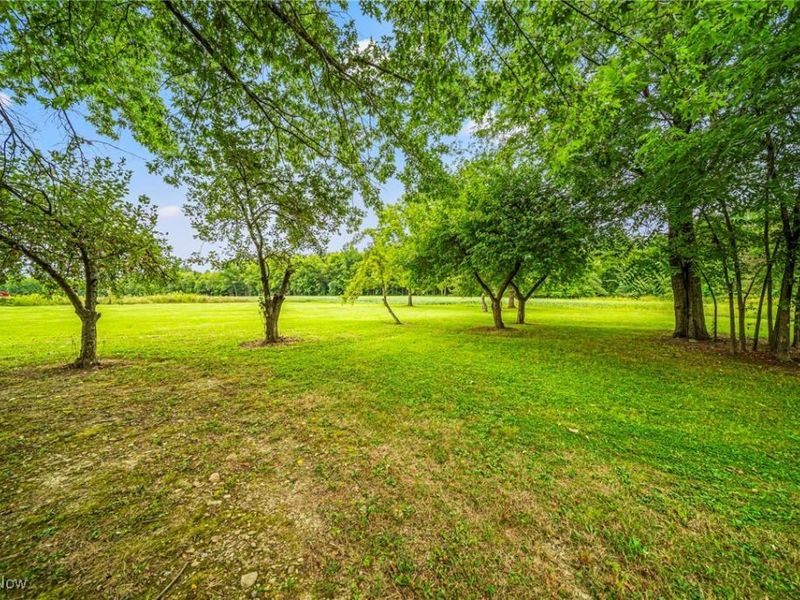 5422 Slater Road, Williamsfield, OH 44093 Photo 32