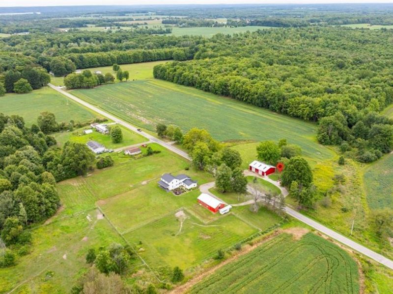 5422 Slater Road, Williamsfield, OH 44093 Photo 34