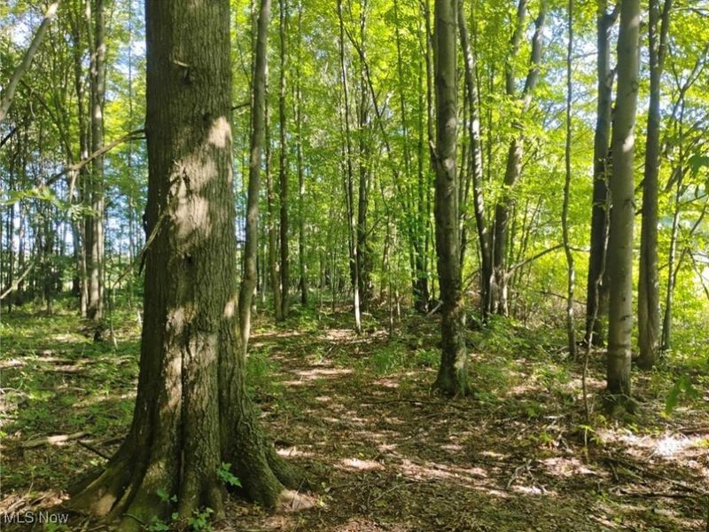 5427 Slater Road, Williamsfield, OH 44093 Photo 44