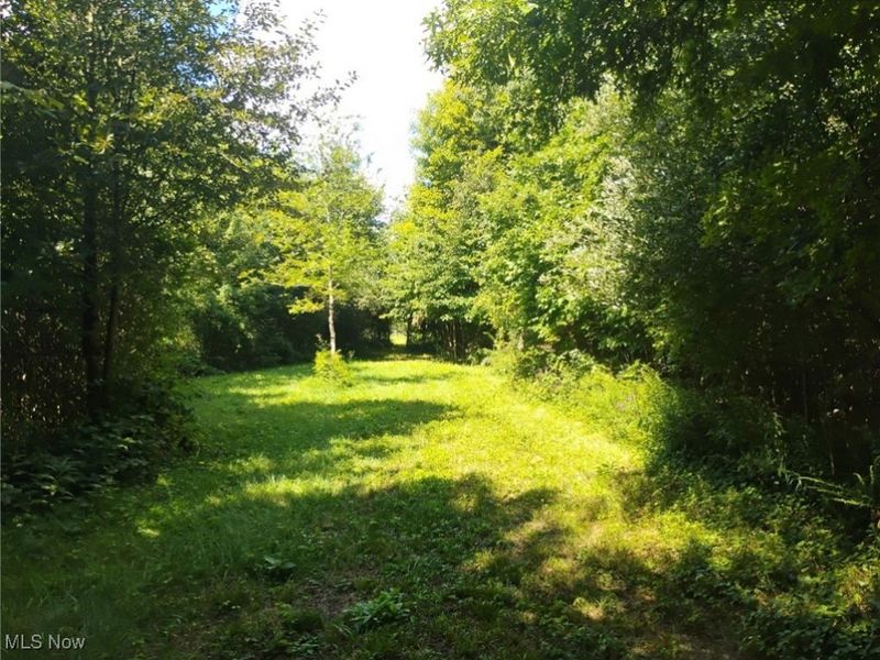 5427 Slater Road, Williamsfield, OH 44093 Photo 45