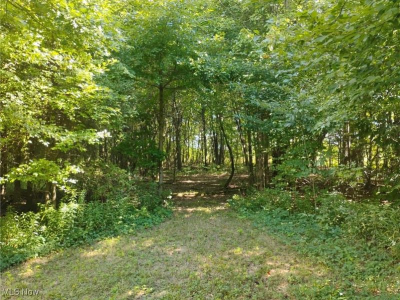 5427 Slater Road, Williamsfield, OH 44093 Photo 46