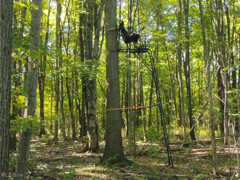 5427 Slater Road, Williamsfield, OH 44093 Photo 47