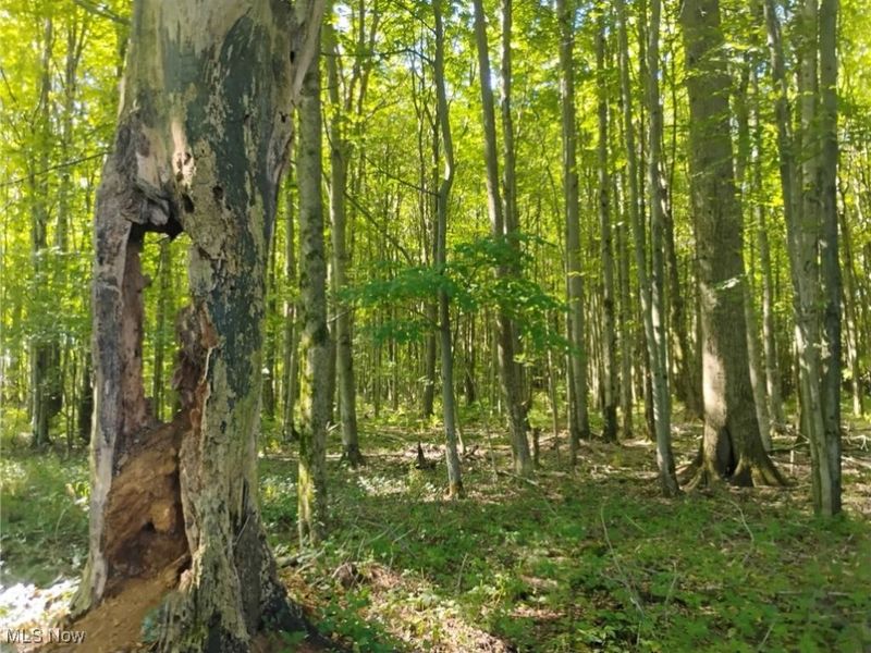 5427 Slater Road, Williamsfield, OH 44093 Photo 48