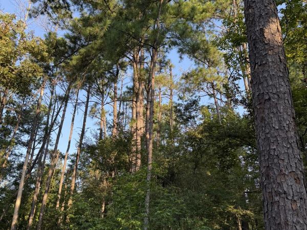 Sumrall Road, Crystal Springs, MS 39059