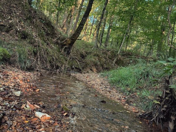 Sumrall Road, Crystal Springs, MS 39059