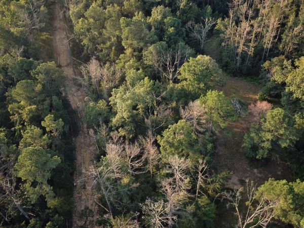 Sumrall Road, Crystal Springs, MS 39059