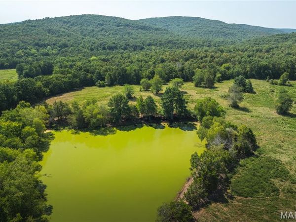 9556 Madison 535, Fredericktown, MO 63645