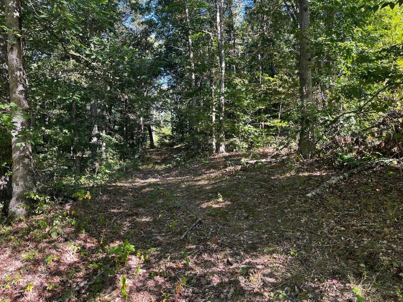 1456 Debord Road, Chillicothe, OH 45601 Photo 34