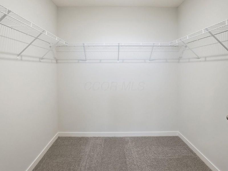 2741 Carrowmore Court, Delaware, OH 43015 Photo 48