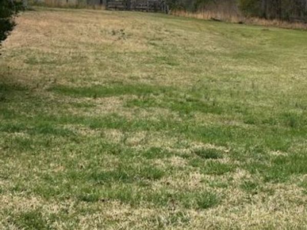 0 Holly Street, Hartwell, GA 30643