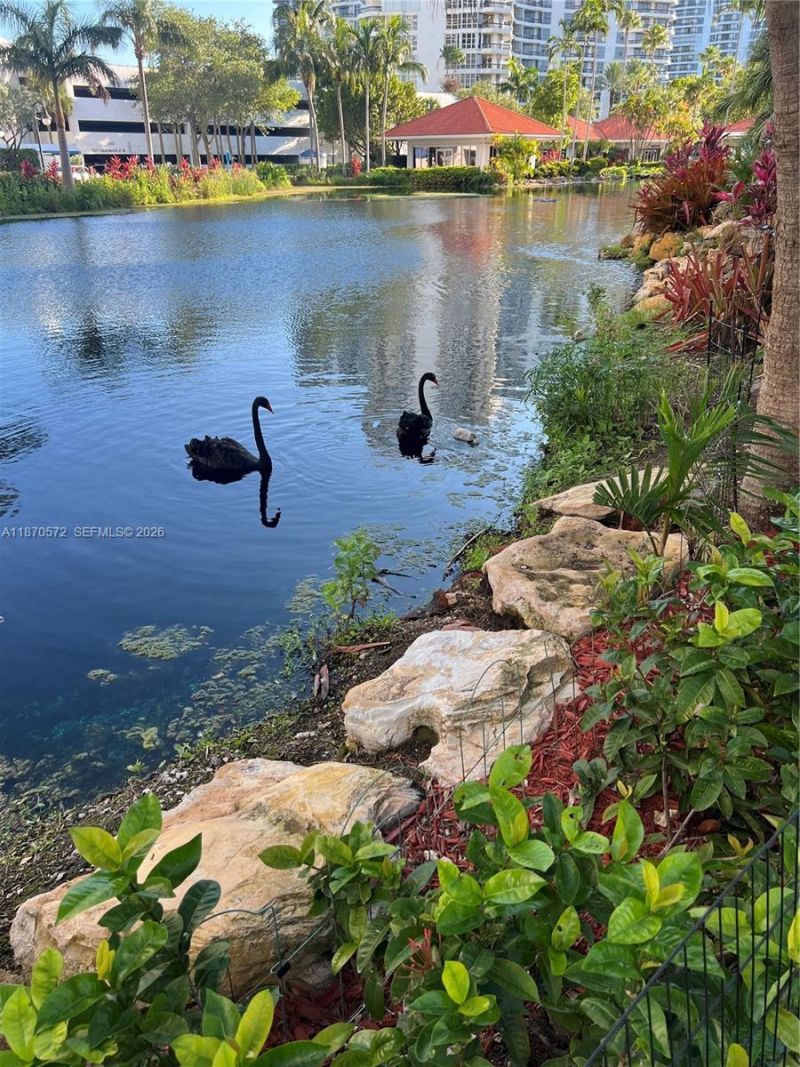 19101 NE 36th Ct, Unit 1411, Aventura, FL 33180 Photo