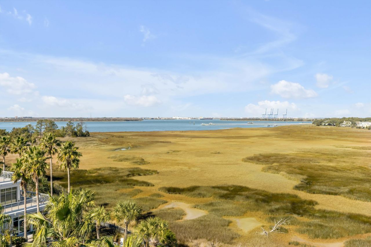 355 Cooper River Drive Photo 31