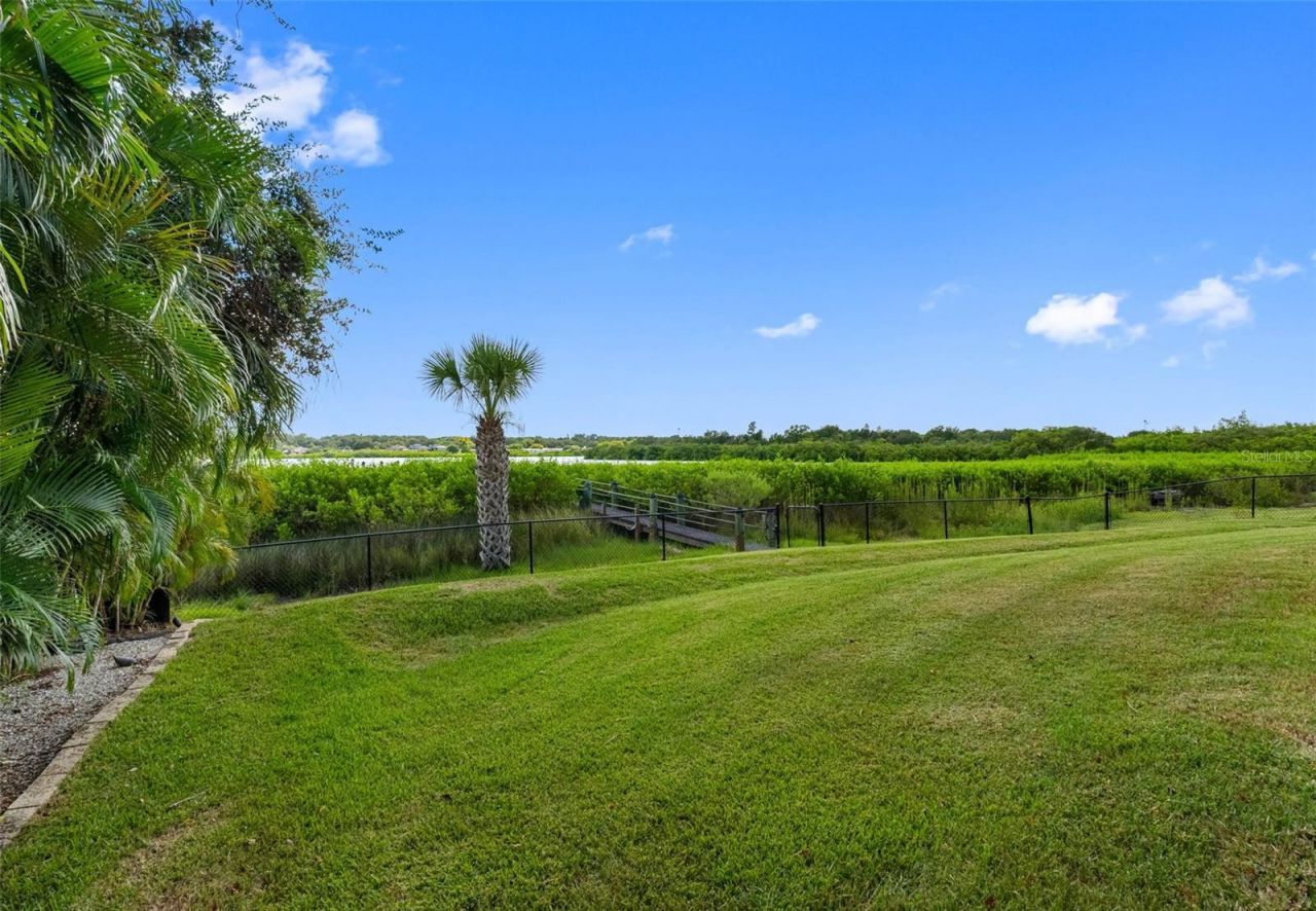 804 Charles Boulevard, Oldsmar, FL 34677 Photo