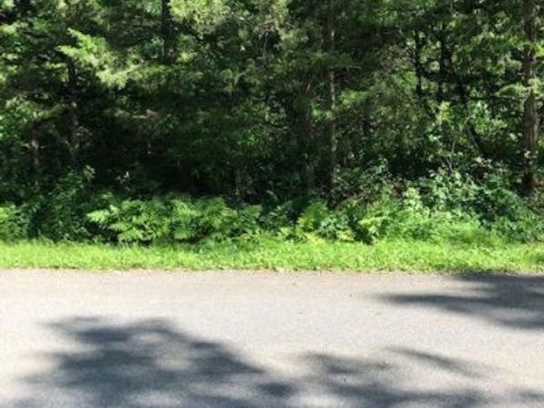 31 Rip Van Winkle Drive, Athens, NY 12015