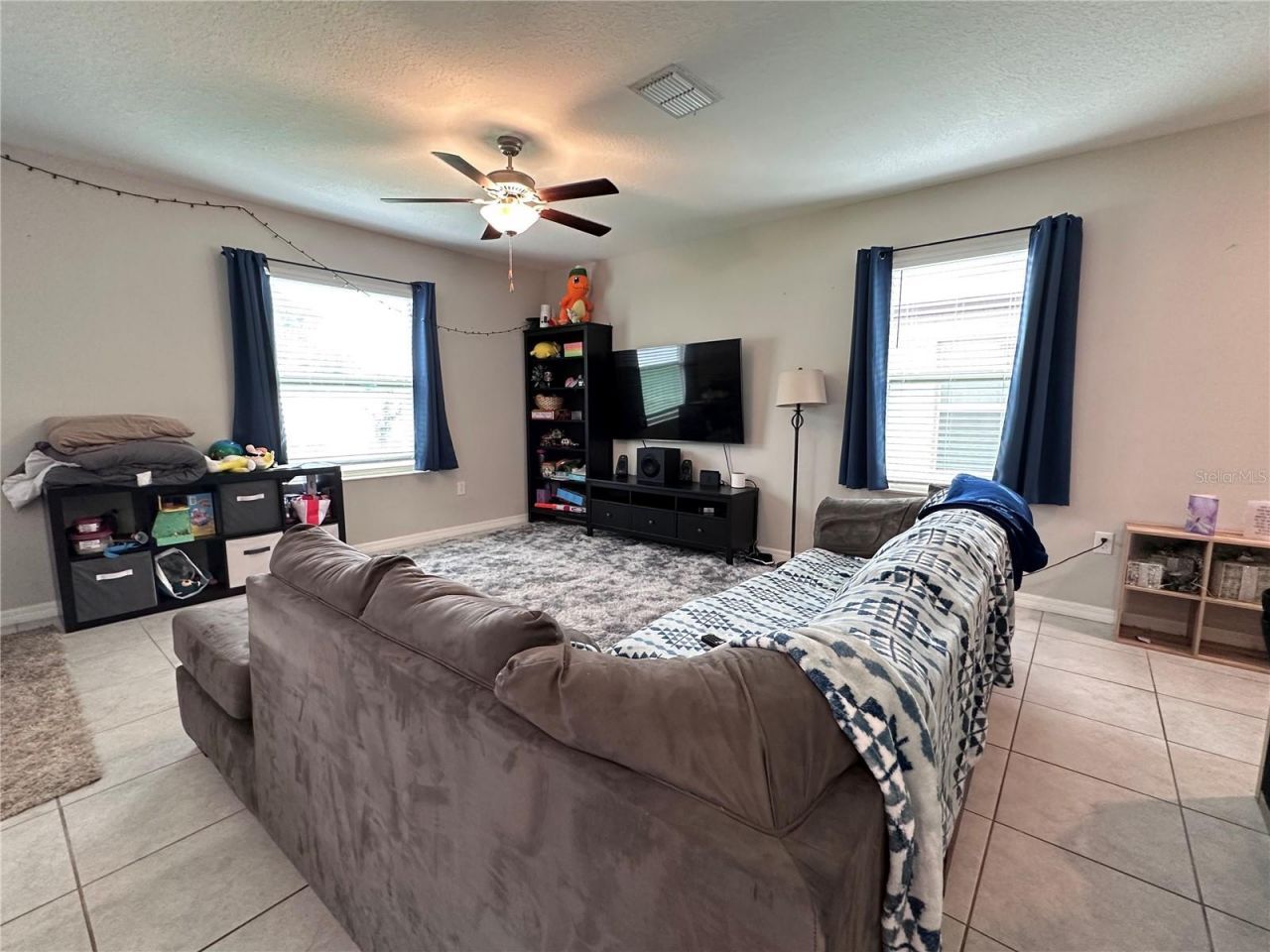 808 Nutmeg Spice Place, Ruskin, FL 33570 Photo