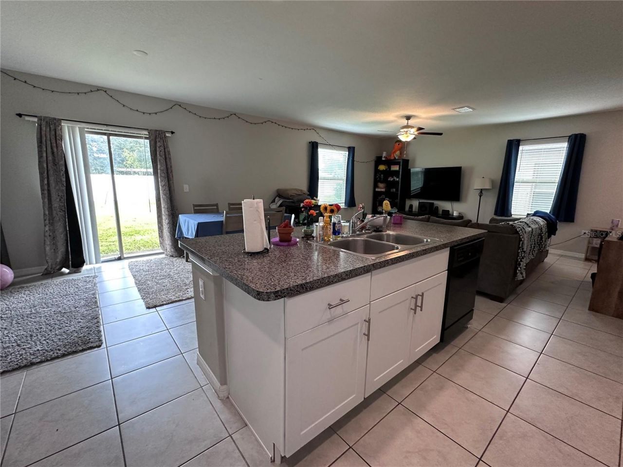 808 Nutmeg Spice Place, Ruskin, FL 33570 Photo