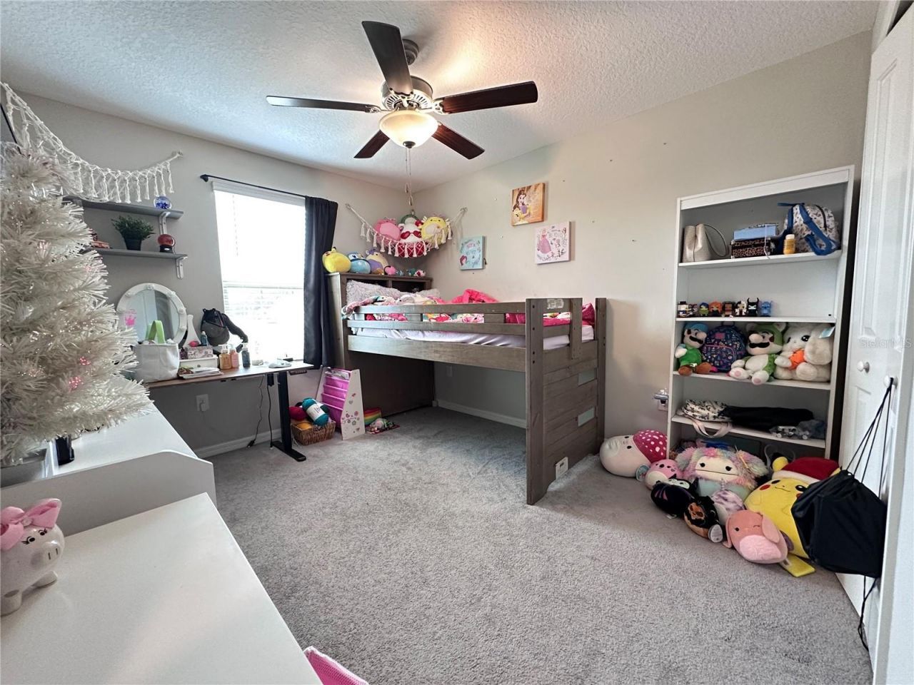808 Nutmeg Spice Place, Ruskin, FL 33570 Photo