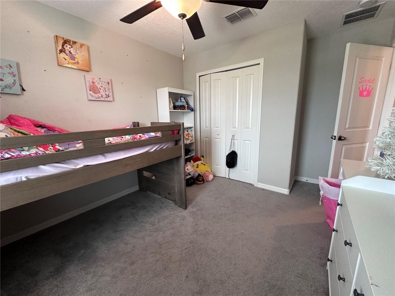 808 Nutmeg Spice Place, Ruskin, FL 33570 Photo