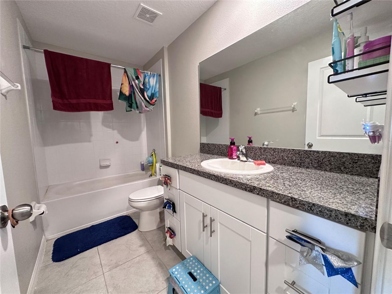 808 Nutmeg Spice Place, Ruskin, FL 33570 Photo