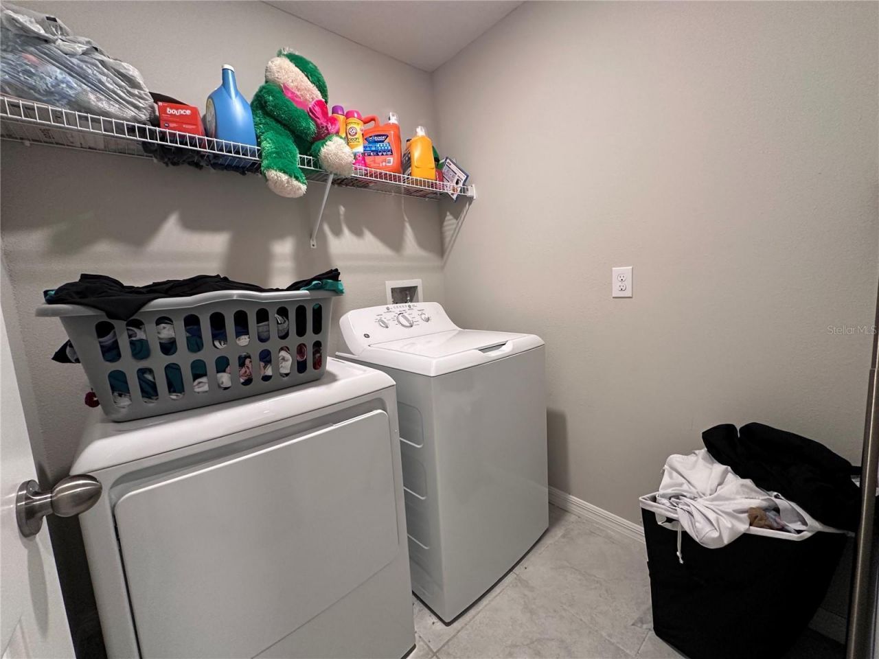 808 Nutmeg Spice Place, Ruskin, FL 33570 Photo