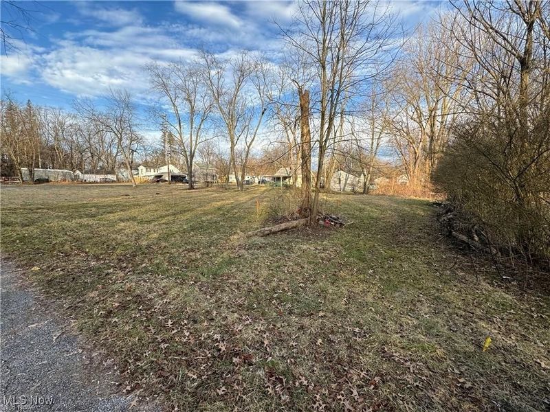 1229 Pickford Avenue, Akron, OH 44320 Photo 2