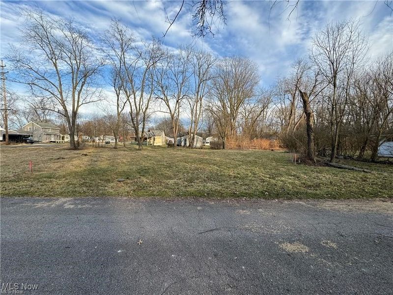 1229 Pickford Avenue, Akron, OH 44320 Photo 3