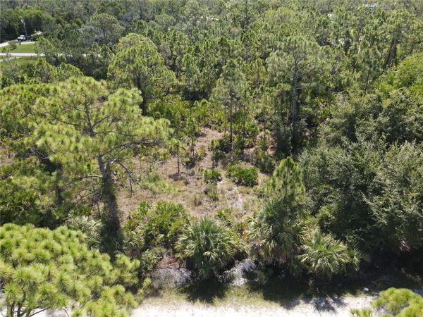 12260 ESCUELA DRIVE, PUNTA GORDA, FL 33955