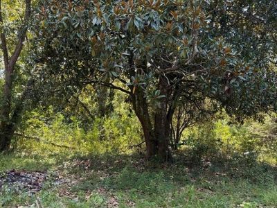 Cotton Street , Denmark, SC 29042