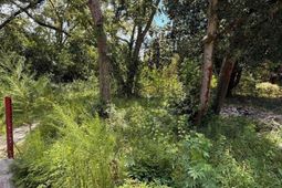 Cotton Street  photo 4