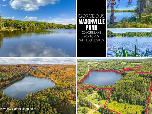 0 E Masonville Pond Cumming Road Road, Sidney Center, NY 13839