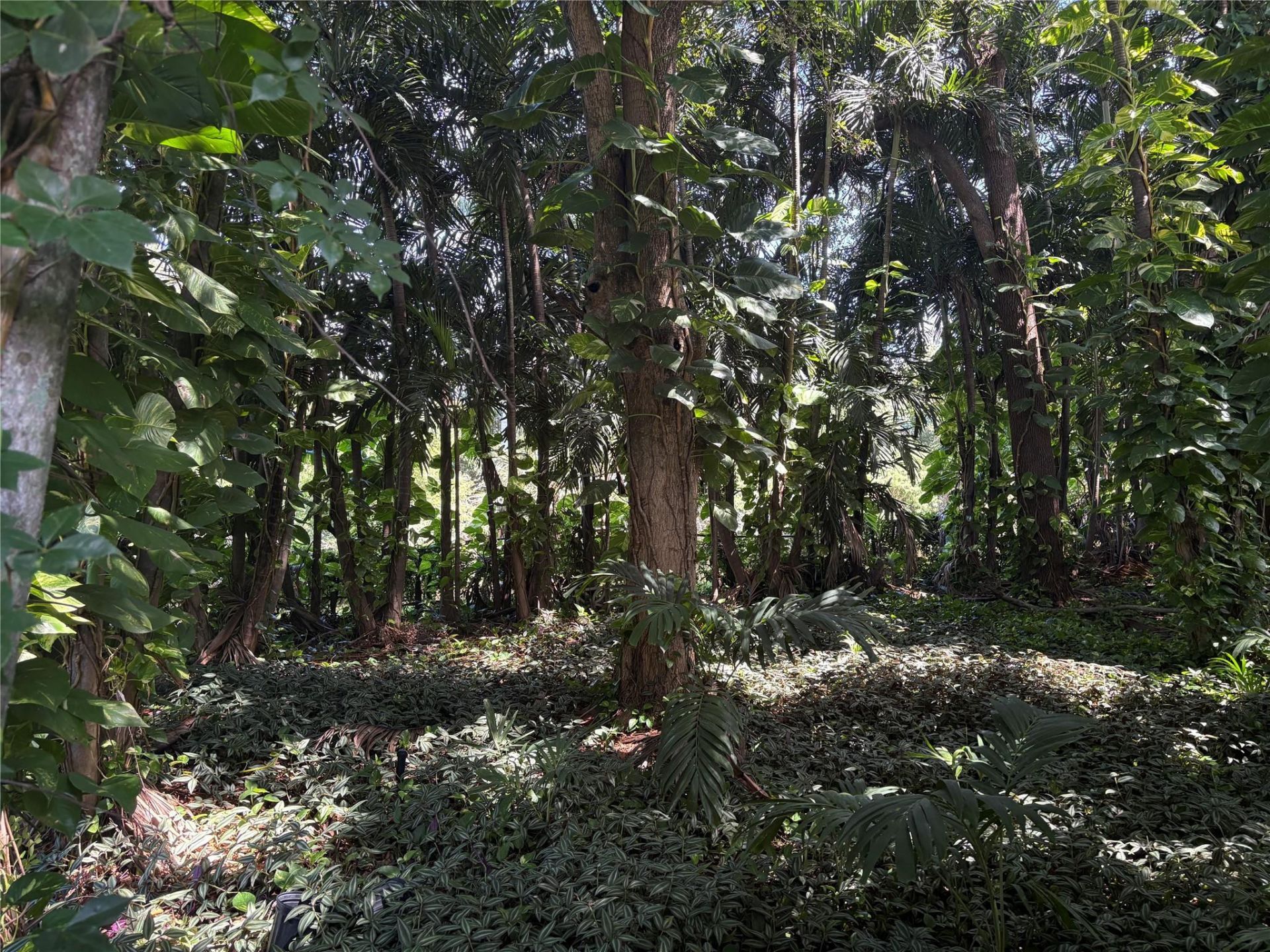 2109 Pinehurst Drive, West Palm Beach, FL 33407 Photo