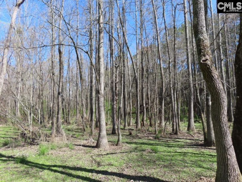 1672 Dixired Road Photo 10