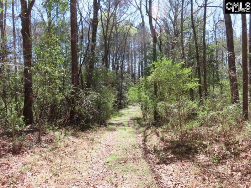 1672 Dixired Road Photo 11