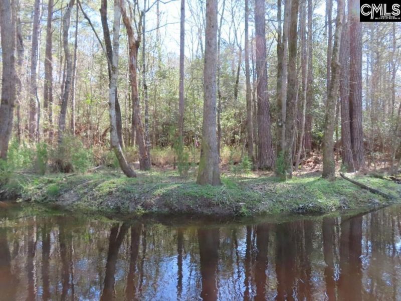 1672 Dixired Road Photo 12