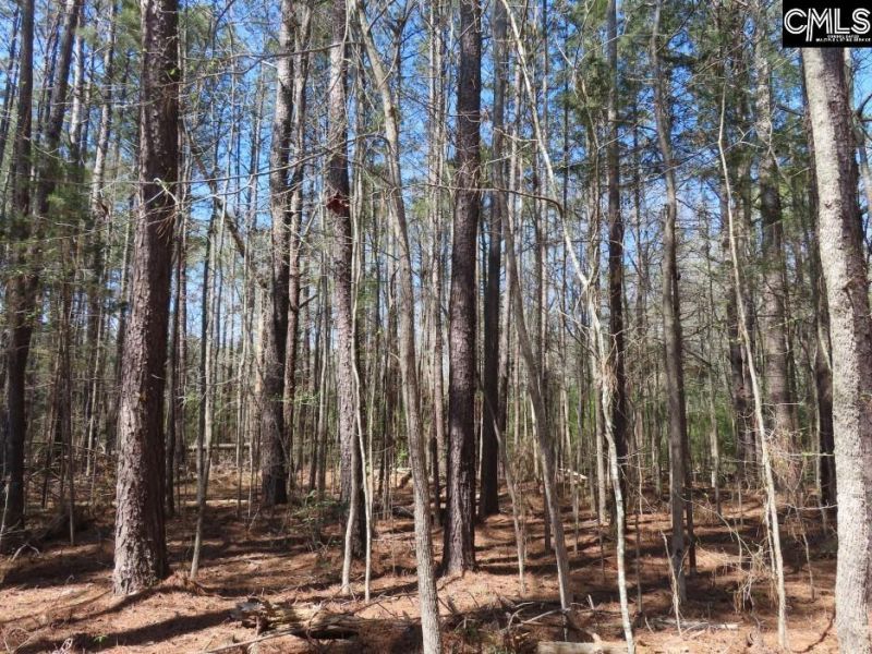 1672 Dixired Road Photo 13