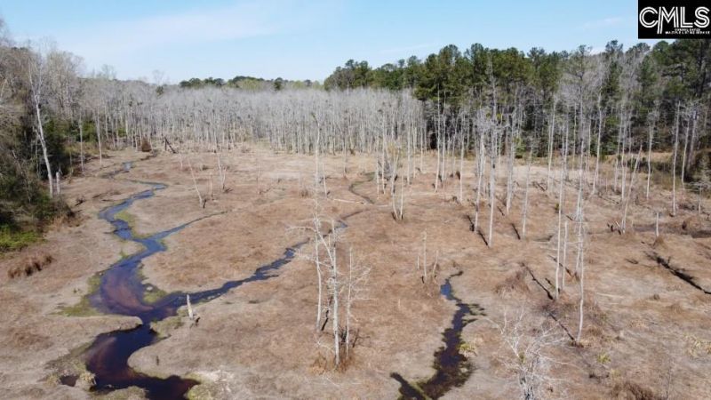 1672 Dixired Road Photo 14