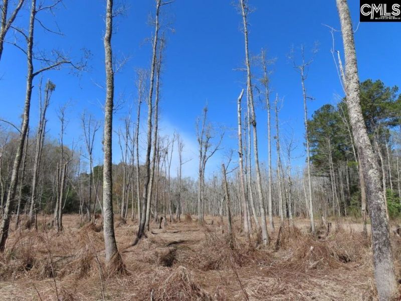 1672 Dixired Road Photo 15