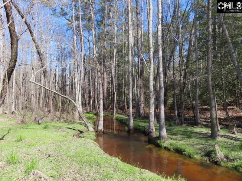 1672 Dixired Road Photo 17