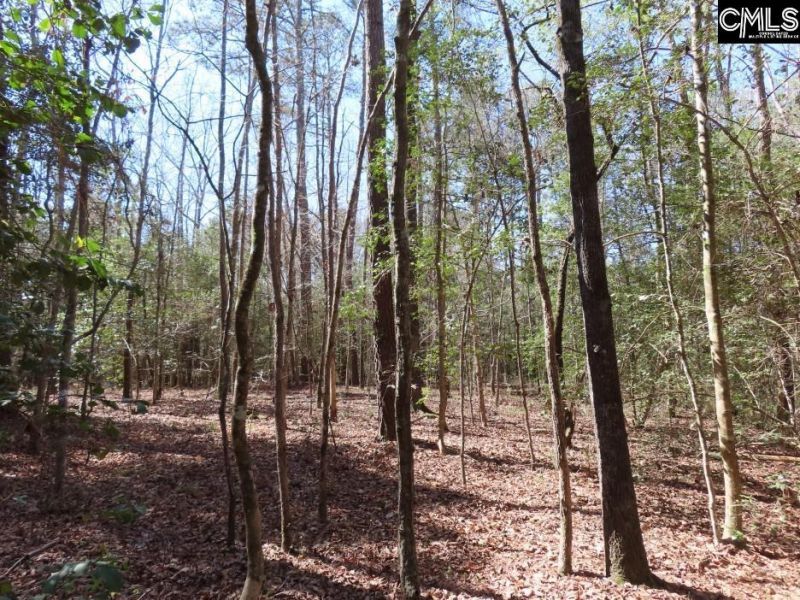 1672 Dixired Road Photo 18