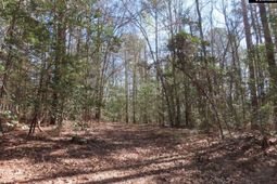 1672 Dixired Road photo 4