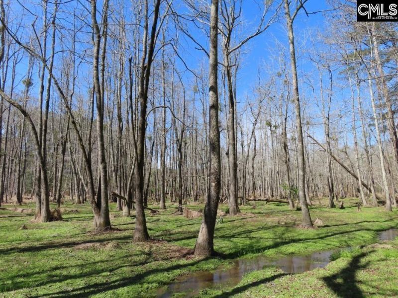 1672 Dixired Road Photo 20